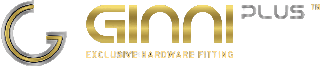 Ginni Plus Logo